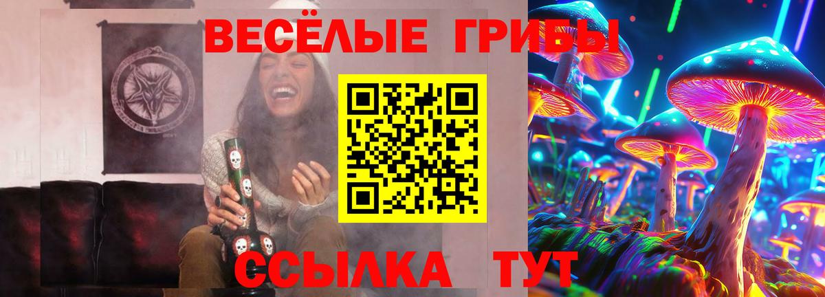 Златоуст  Галлюциногенные грибы мицелий  Галлюциногенные грибы GOLDEN TEACHER  Вход с VPN 